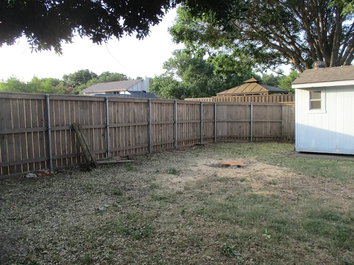 Cleared yard after professional tree removal in Brenton