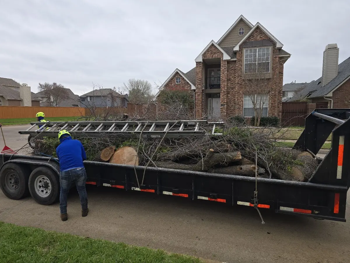 Expert Tree Removal with proper safety equipment in Brenton